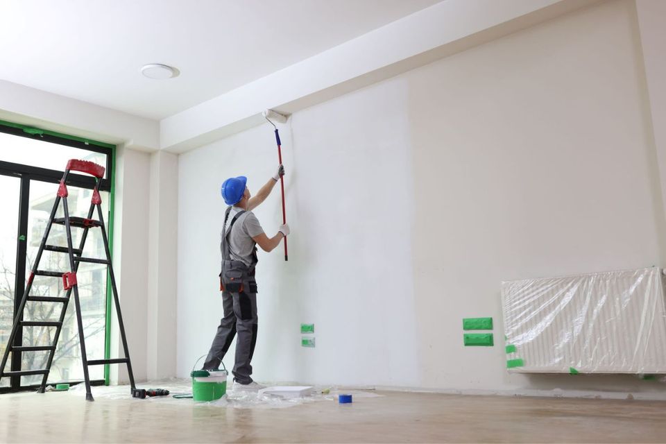 COMPLETE HOME PAINTING GUIDE TIPS TRICKS TRENDS visual data 5