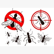 Logo of Ganpati Pest Control