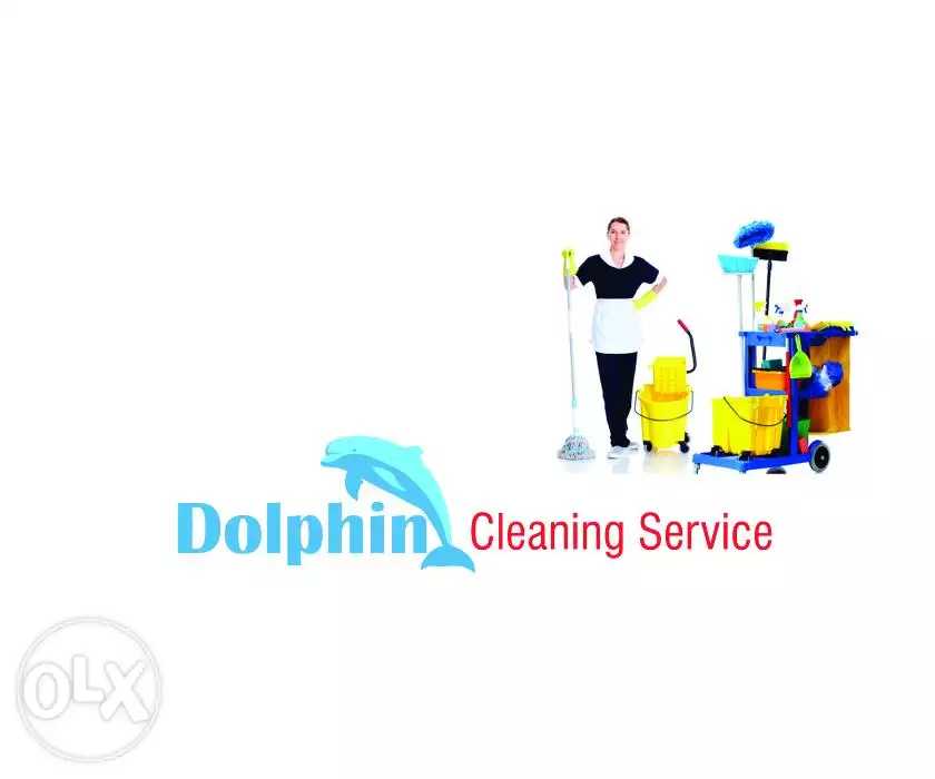 Dolphin Cleaning Service