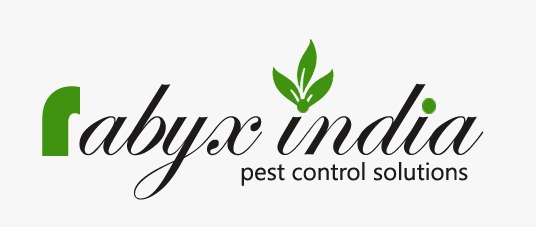 RABYX INDIA- Delhi