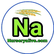 Logo of Nursery Alive