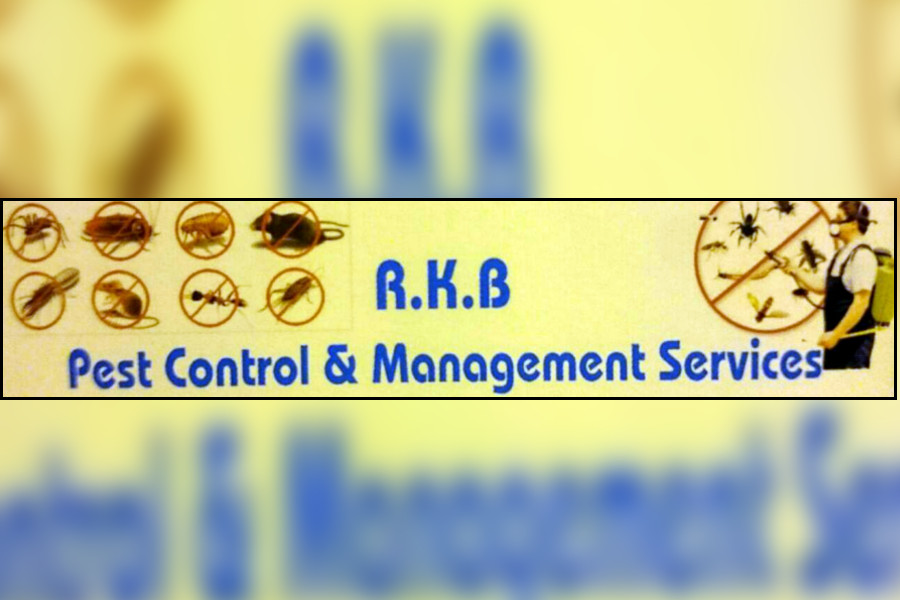 R.K.B PEST CONTROL & MANAGEMENT SERVICES
