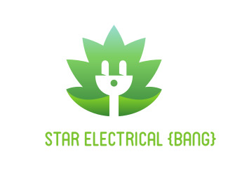 Star Electrical