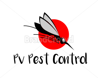 Pv Pest Control
