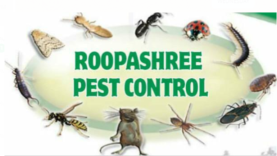 Roopashree India Pest Control Services