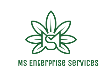 MS Enterprise Services