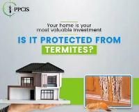 Privents Pest Solution-1