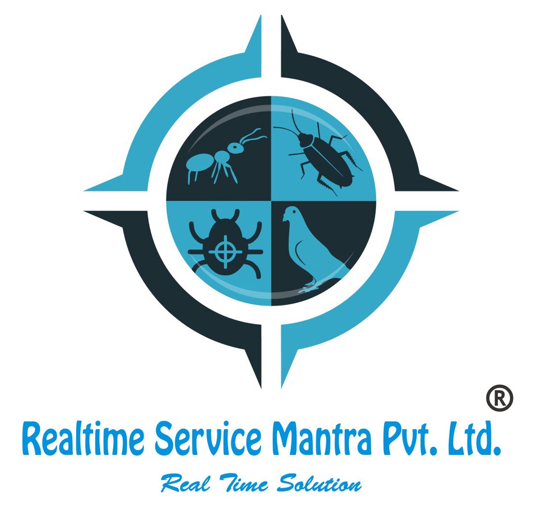 Realtime Service Mantra Private Limited - Gurgaon