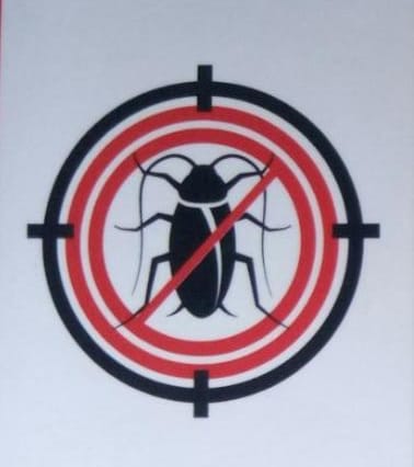 Zings Pest Control Services