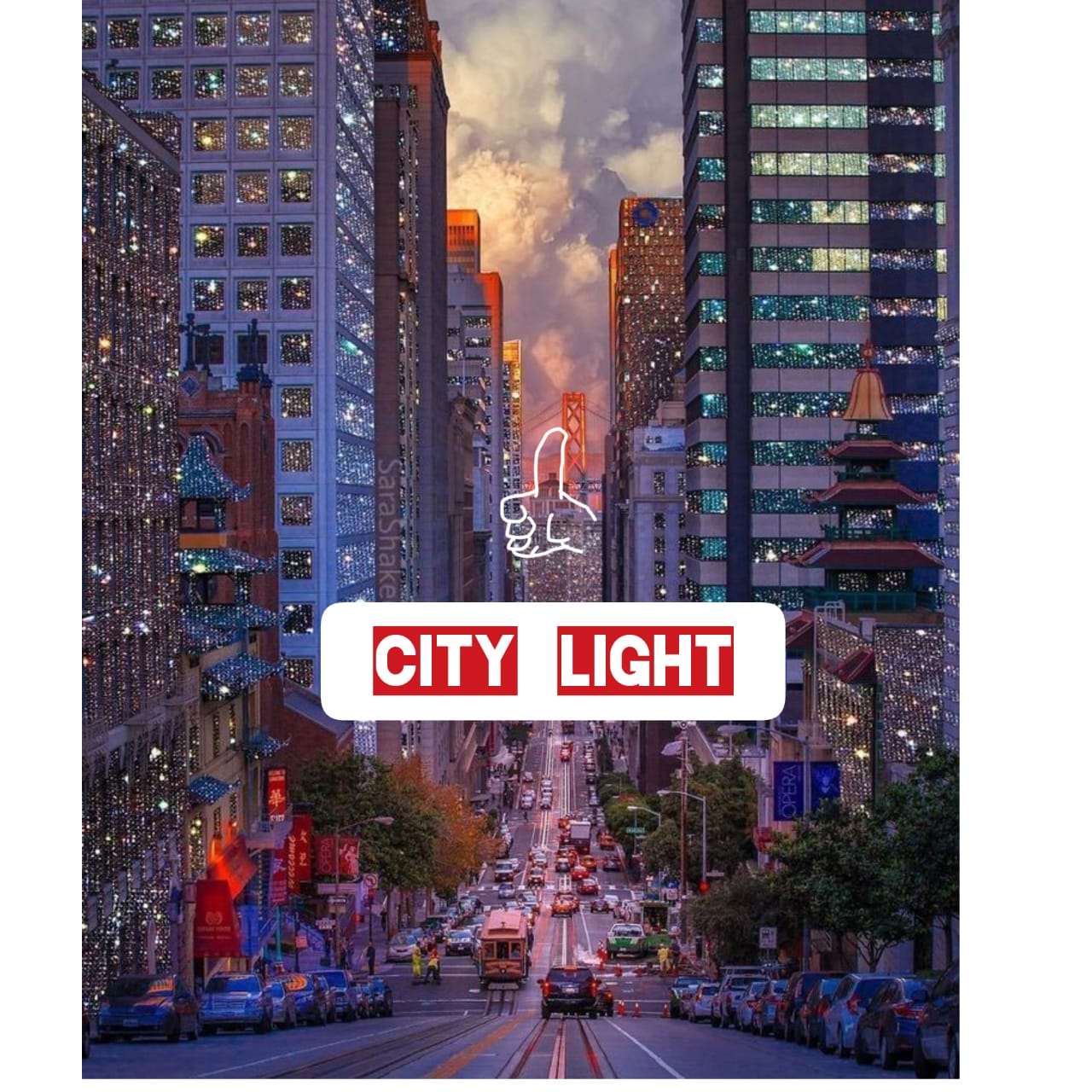City Light's Professional