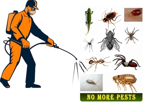 SRI RUDRA PEST CONTROL SERVICES
