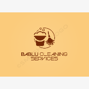 Bablu Cleaning Services