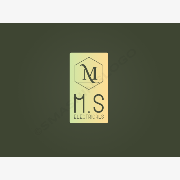 Logo of M.S Electricals