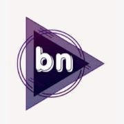 Logo of B N Pest Control