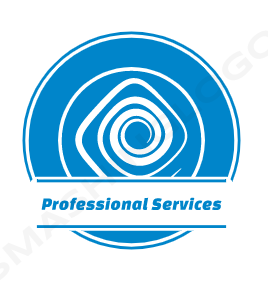 Professional Services
