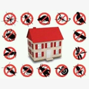 Indian Hygiene Pest Control Service