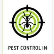 Pest Control In 