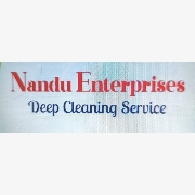 Logo of Nandu Enterprises