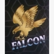 Logo of Falcon Cleaning Services