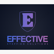 EFFECTIVE STAFFING SOLUTIONS logo