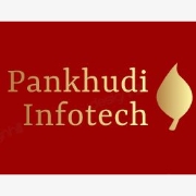 Pankhudi Infotech Solutions