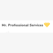 Mr. Professional Services