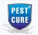 Pest Cure - Noida