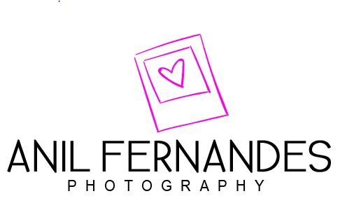 Anil Fernandes  Wedding Photography