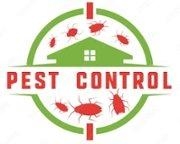 Central Pest Care
