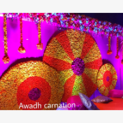 Awadh Carnation