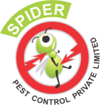 Spider Pest Control Pvt Ltd