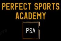 Perfect Sports Academy-Delhi