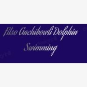 Fitso Gachibowli Dolphin Swimming