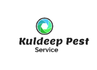 Kuldeep Pest Service
