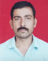 Solution Services