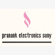Pranank Electronics Sony