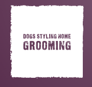 Dogs styling Home Grooming 