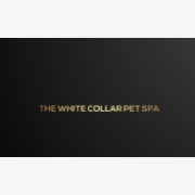 The White Collar Pet Spa
