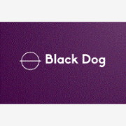 Black Dog 