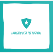Luvperro Best Pet Hospital 