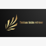 Thekkans Golden retriever