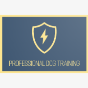 Professional Dog Training