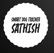 Smart Dog Trainer Sathish