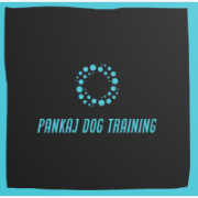 Pankaj Dog Training
