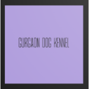 Gurgaon Dog Kennel