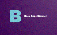 Black Angel Kennel