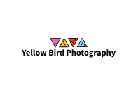 Yellow Bird Photography