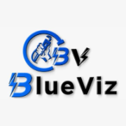 Blue Viz Tech Solution