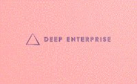 Deep Enterprise