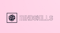 Mindskills